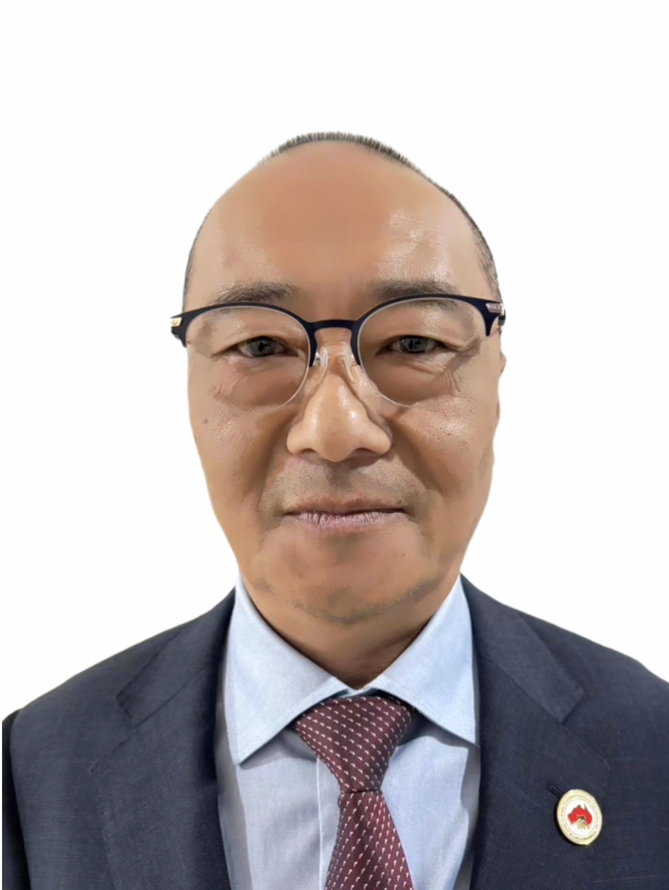 副会长陈松龙 Long Chen